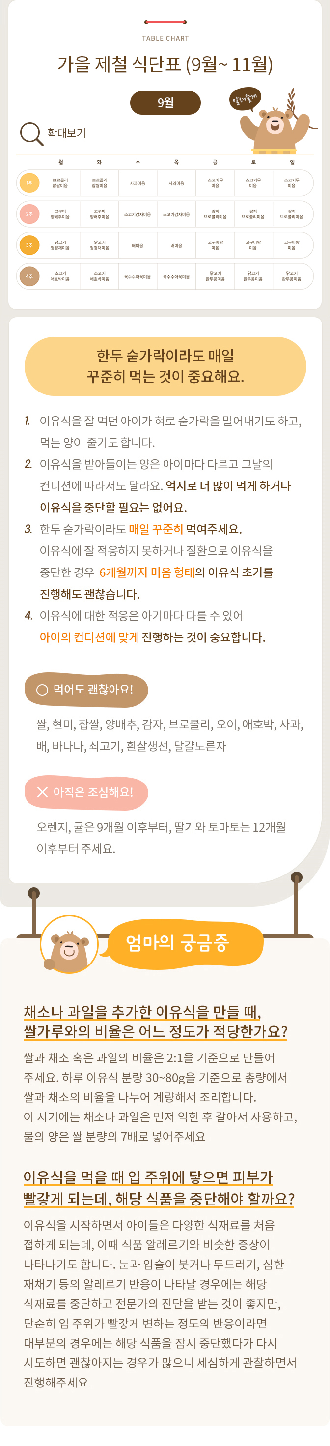 이유식 초기 2단계 식단표